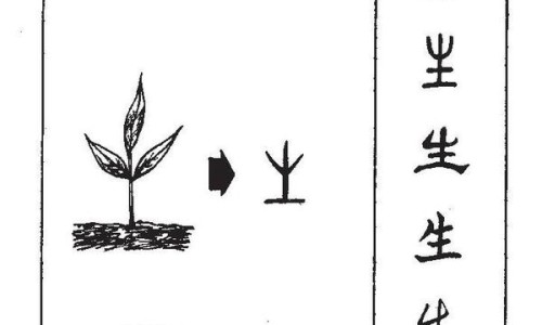 权威绣眉与纹眉的区别图片平台,分享专业绣眉和纹眉有什么区别哪个更好看知识_绣眉与纹眉的区别图片网